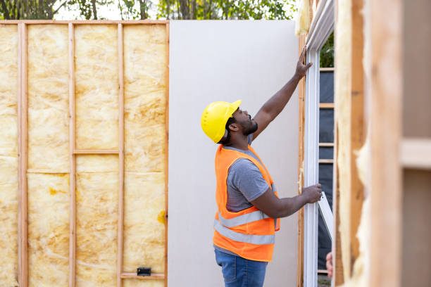 Best Insulation Repair Services  in Lakeview, NY
